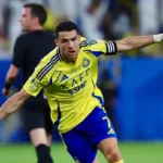 Ronaldo Top Skor